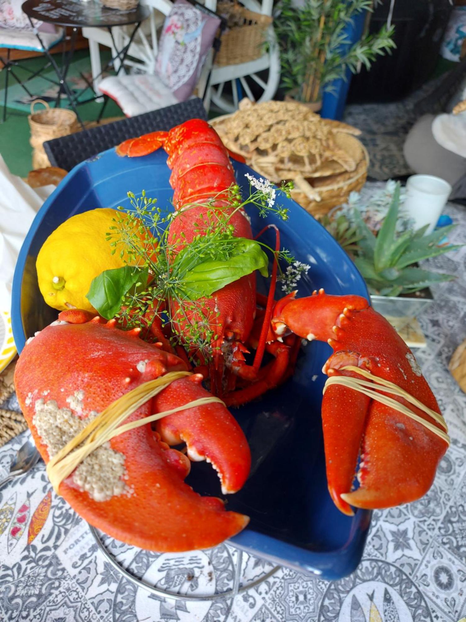 Le Paradis Bleu Bosville 외부 사진
